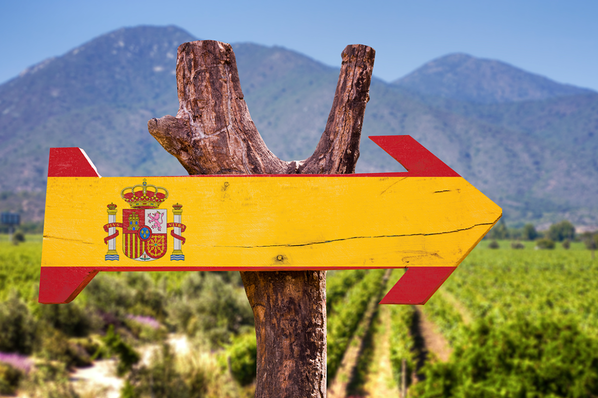 Cinco regiones españolas con Denominación de Origen de productos típicos para visitar con tu camper de alquiler