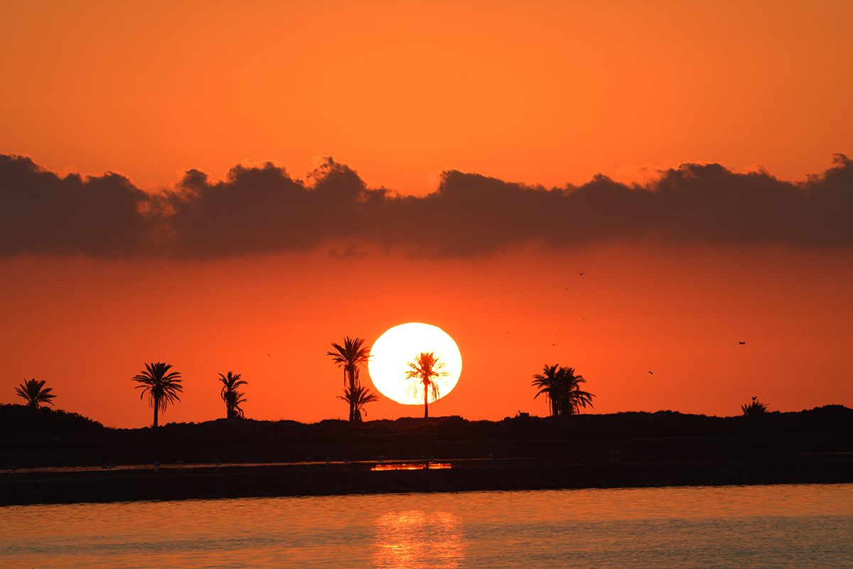 costa del sol en invierno