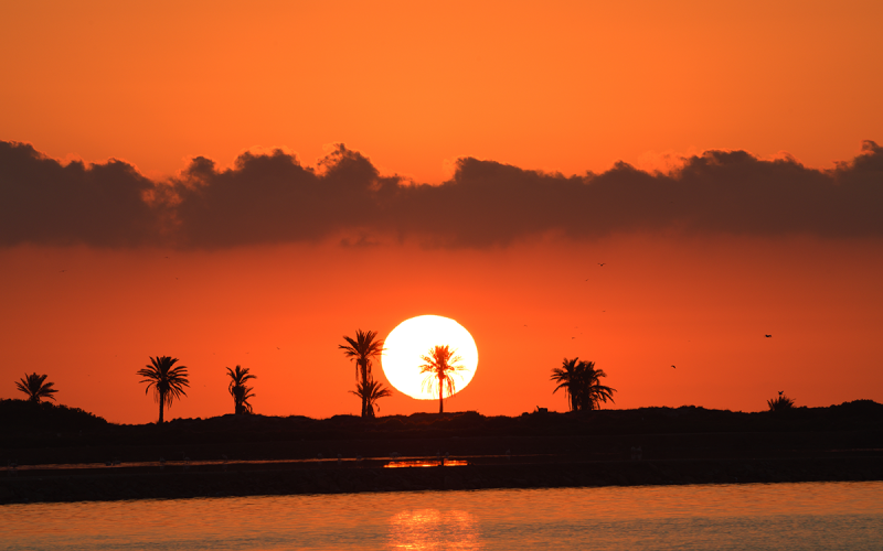 Explora la Costa del Sol en Autocaravana: Un Viaje Perfecto Incluso en Invierno