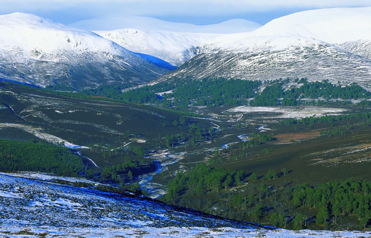 Parque Nacional de Cairngorms, Escocia