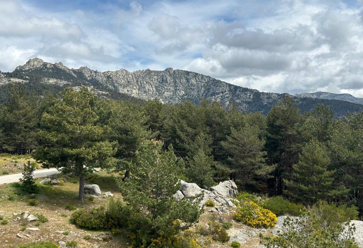 Parque Regional de la Cuenca Alta del Manzanares